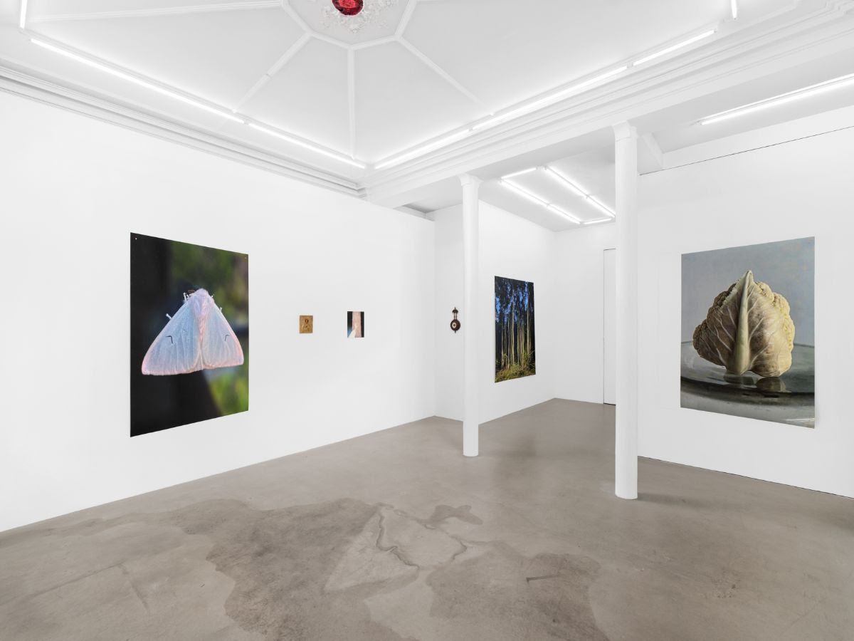 Alina Chaiderov, St. Panteleimon at Ciaccia Levi, photo 2