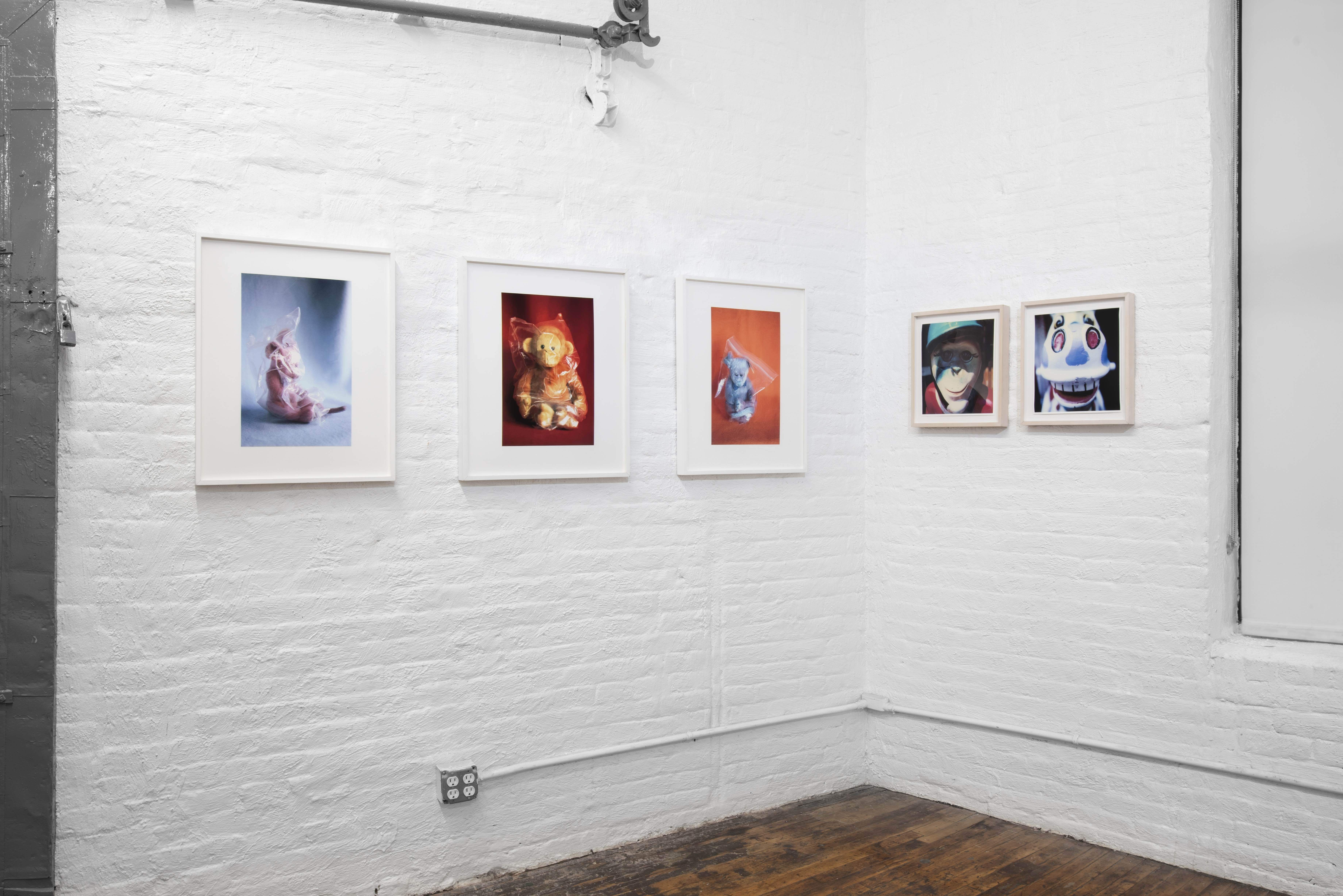 Meredith Allen & Carol Saft, image 3 of 9