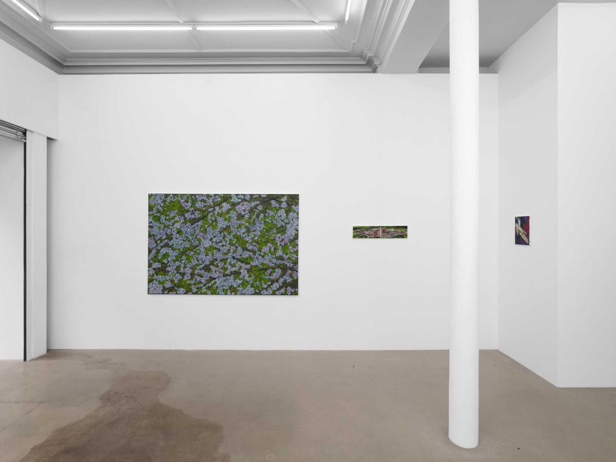 Srijon Chowdhury, The Whorled at Ciaccia Levi, photo 2