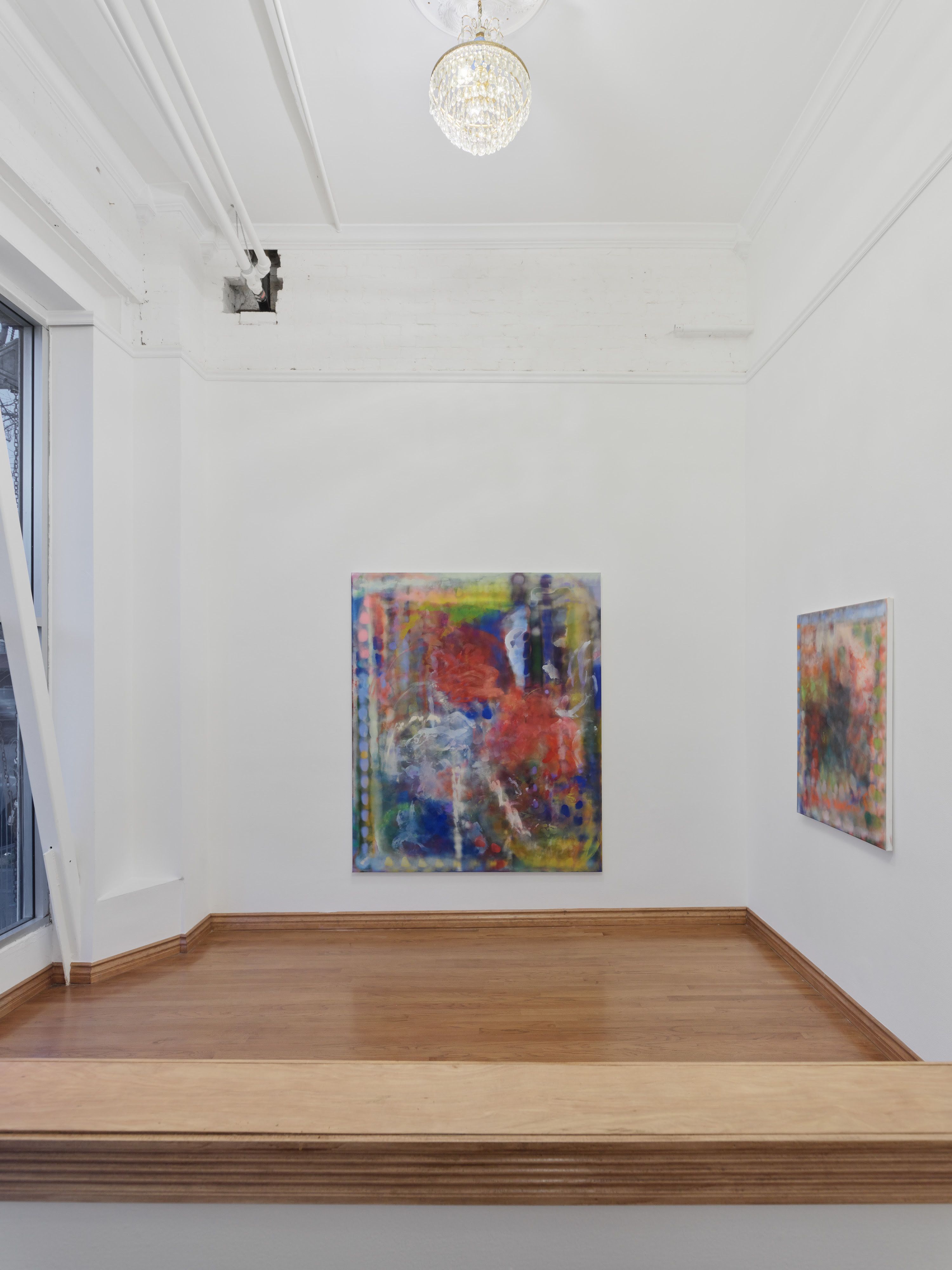 Sara Ludy, Later Fields at Smart Objects, photo 7
