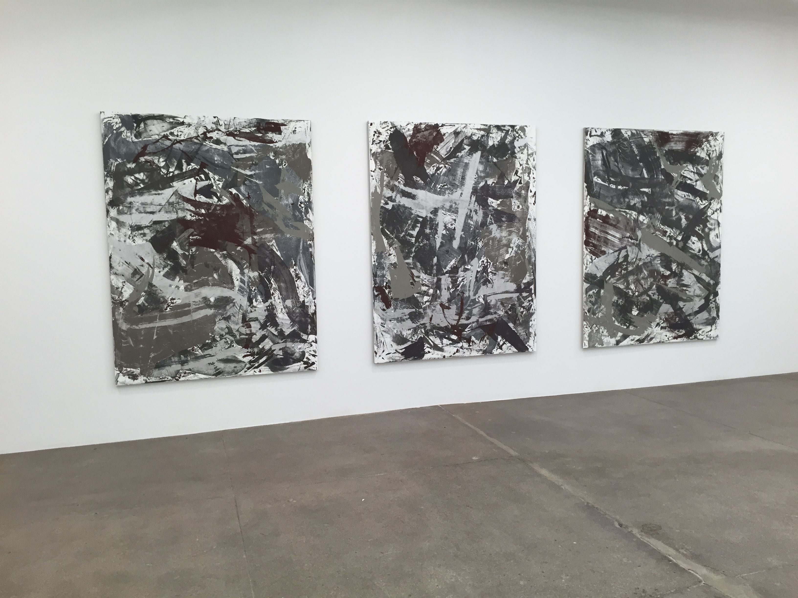 Cheyney Thompson, Birdwings and Chambered Shells at Andrew Kreps, photo 5