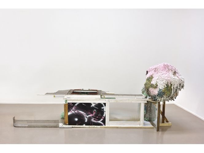 Thomas Buswell, Pangloss’s Lost Candy Floss at Suzanne Tarasieve, photo 2
