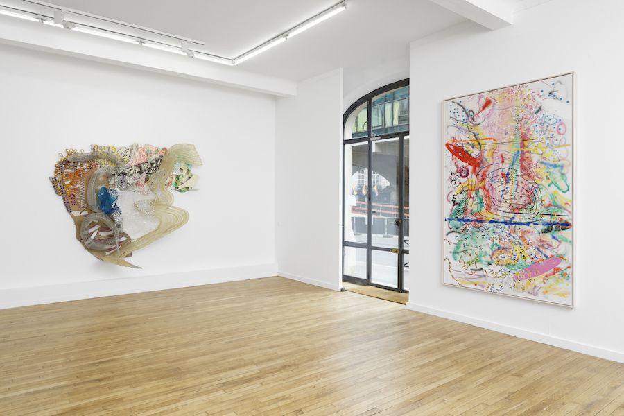 Nancy Graves, La lune, mars et les multitudes du vivant at Ceysson & Bénétière, photo 4