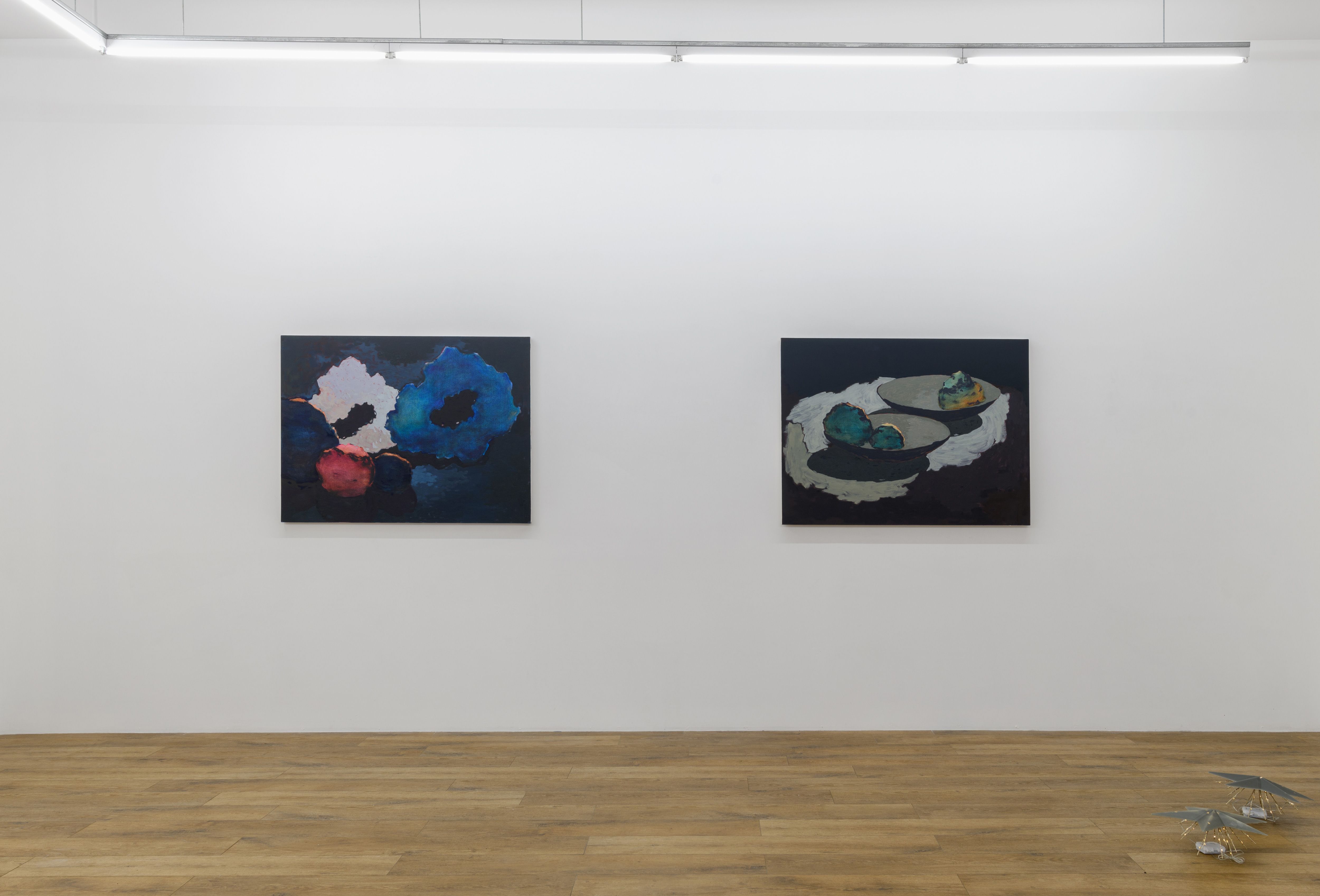 Installation view 5