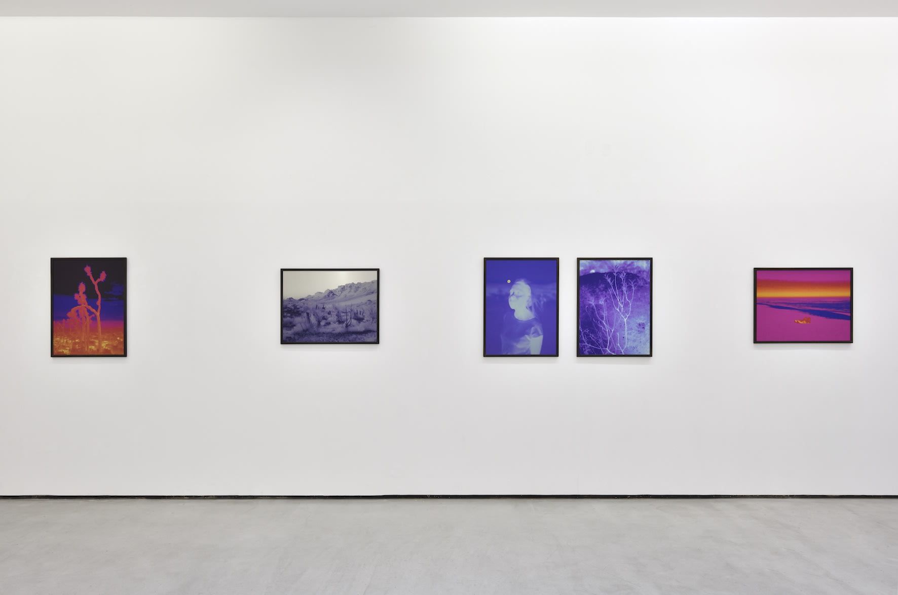 Smith, Dami at Christophe Gaillard, photo 11