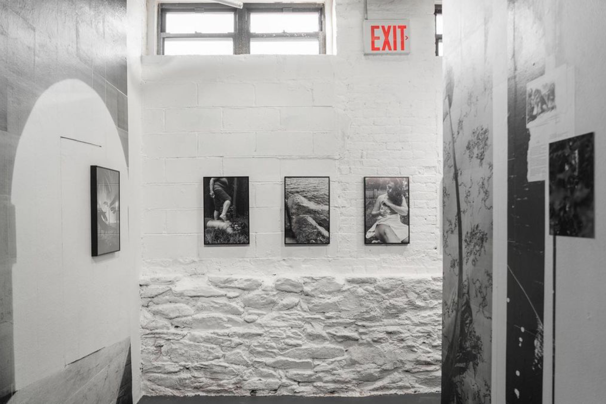Installation view 2
