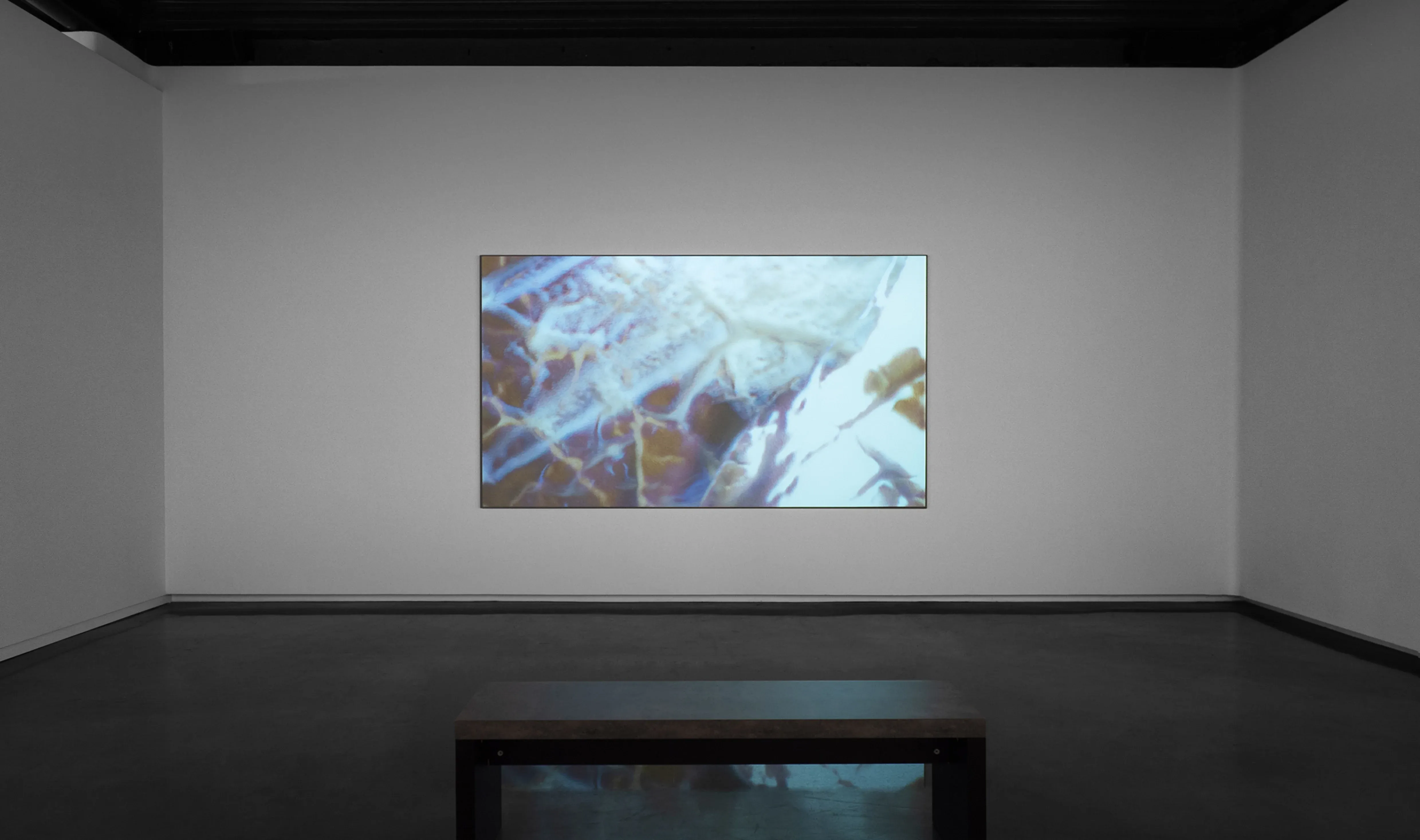 Casey Reas, image 2 of 4