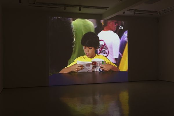 Gary Hill, Observaciones Sobre los Colores at Roberts & Tilton, photo 4