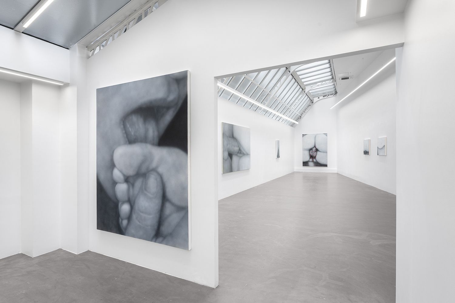 Betty Tompkins, Sex Paintings at Bremond Capela, photo 5
