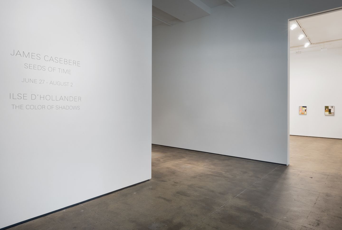 Installation view 6