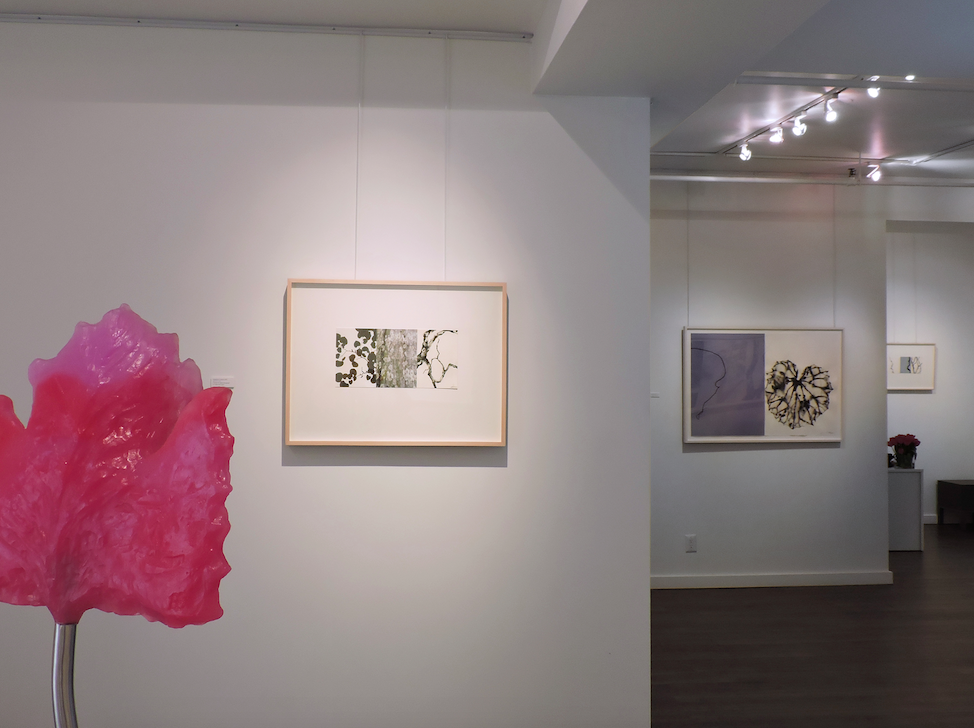Barbara Edelstein, Leaf In The Air at Christian Duvernois Gallery, photo 2