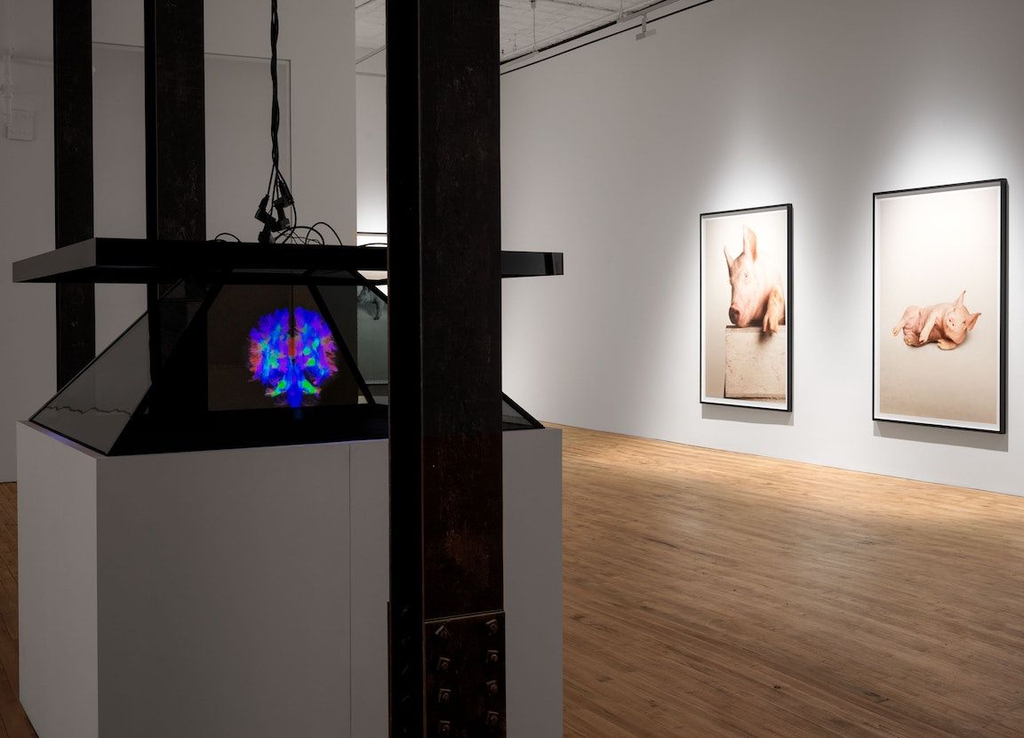 Heji Shin, The Big Nudes at 52 Walker, photo 7