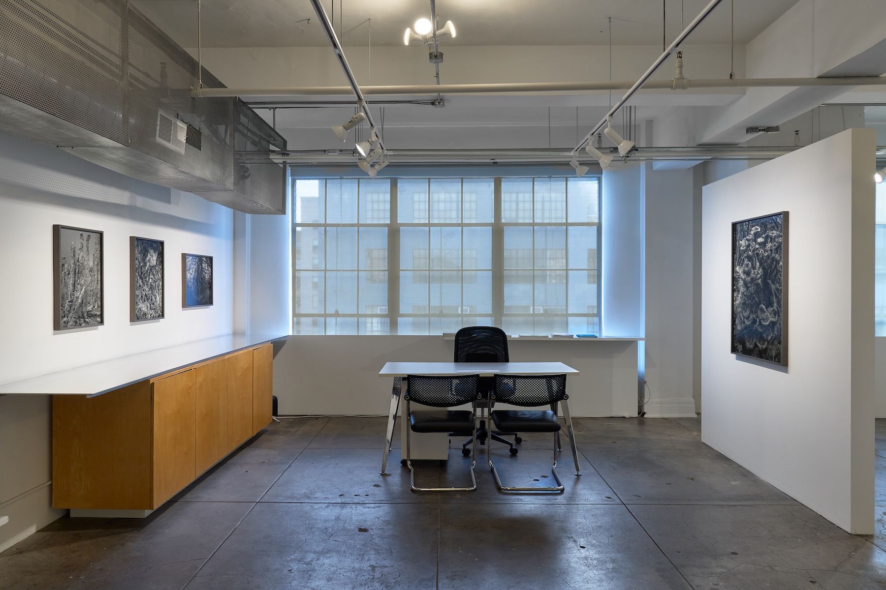 Ron Jude, Low Tide at Gallery Luisotti, photo 6