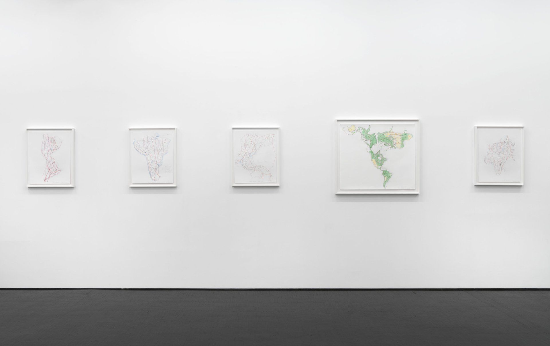 Peter Fend, Birds Reign at Barbara Weiss, photo 8