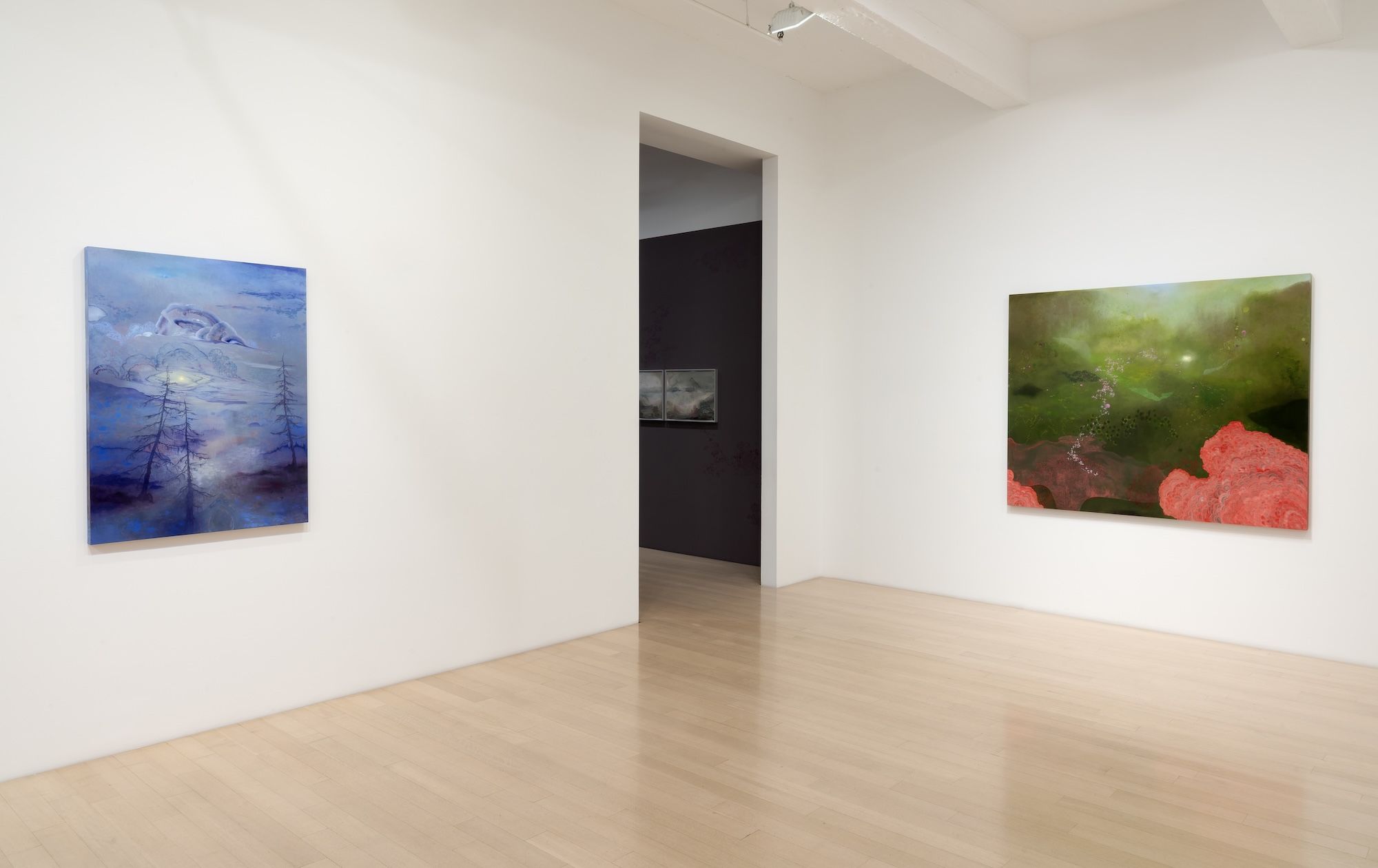 Darren Waterston, Works and Days at DC Moore, photo 3