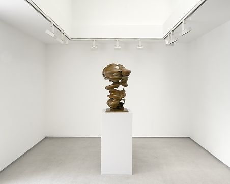 Tony Cragg, Inhabitants: Sculpture at Thaddaeus Ropac, photo 5