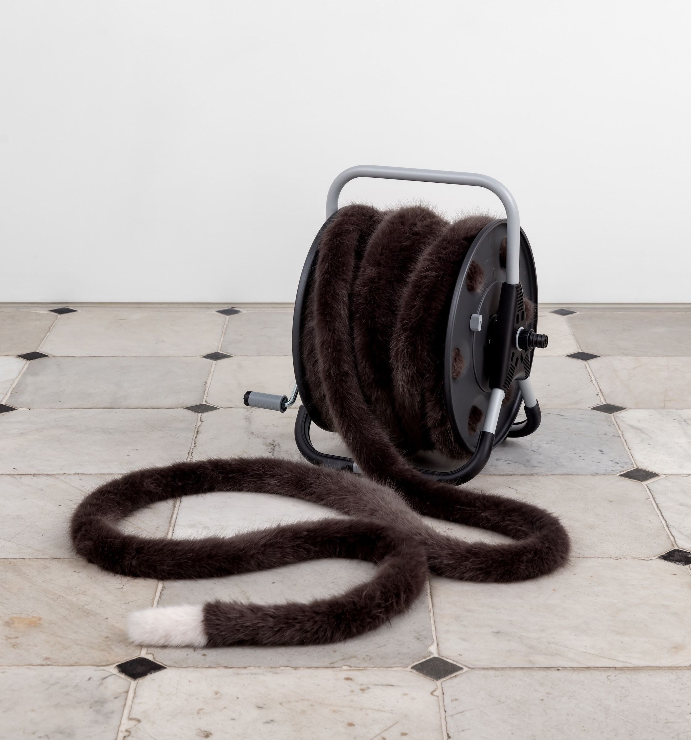 Nicole Wermers, image 8 of 8