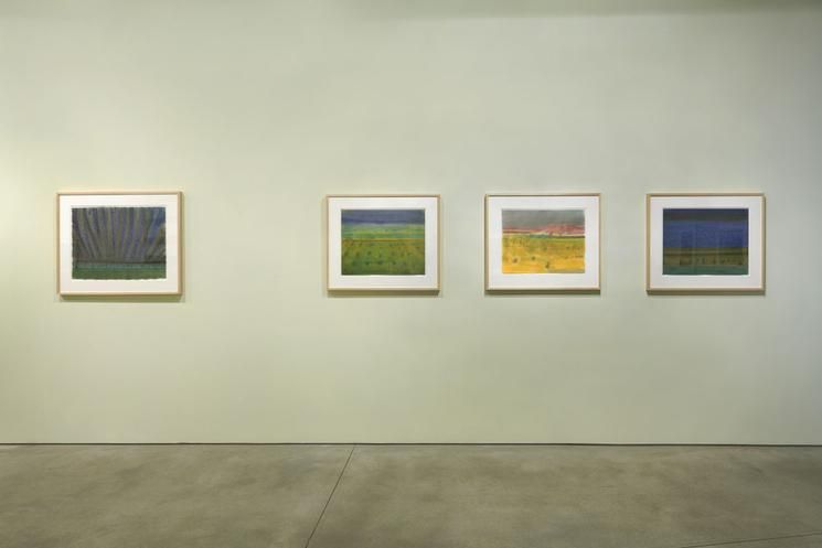 Richard Artschwager, Richard Artschwager at David Nolan, photo 2