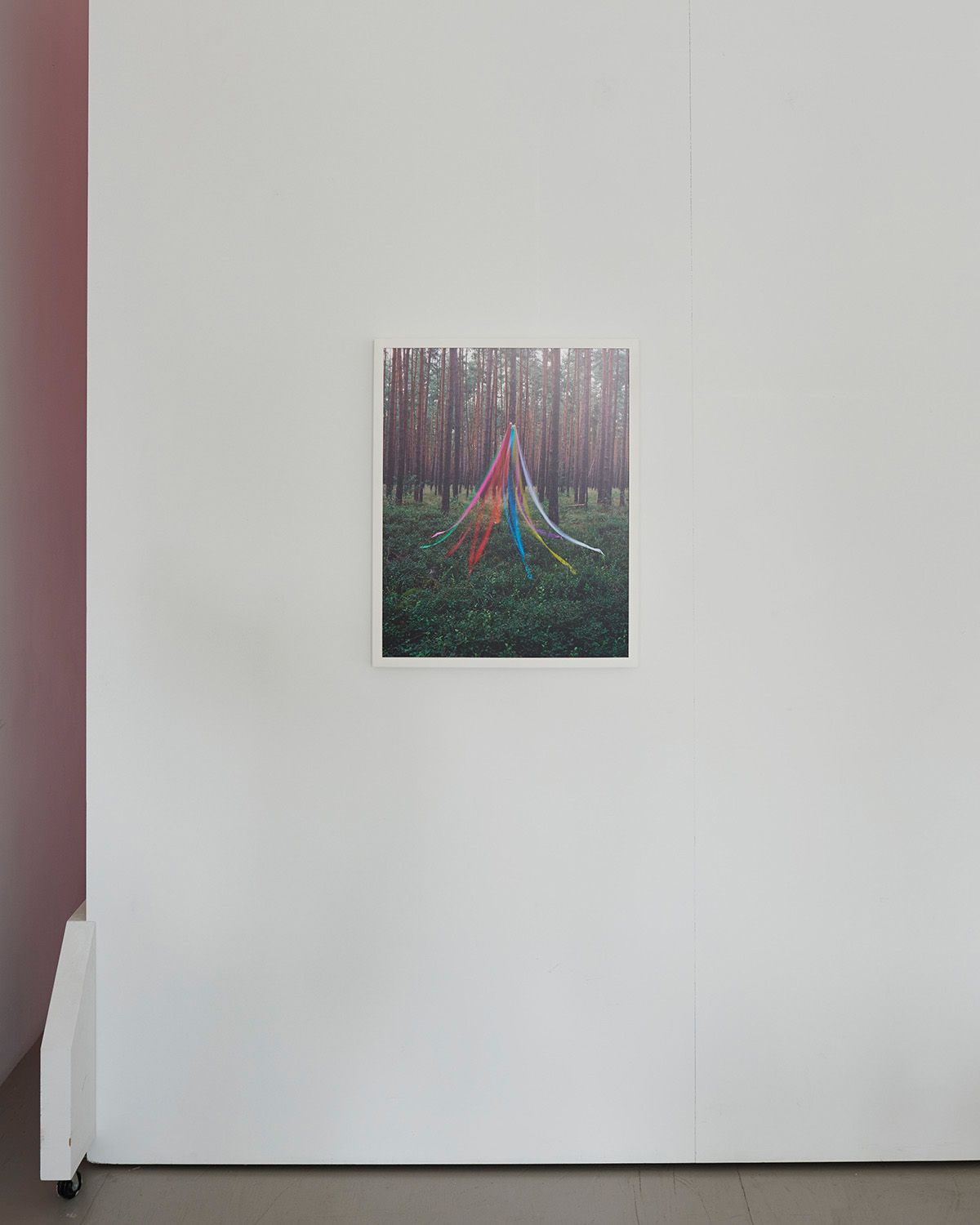 Melanie Bonajo, Nocturnal Gardening at Company, photo 8