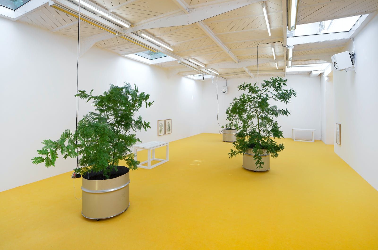 Mohamed Bourouissa, Brutal Family Roots at Mennour, photo 4