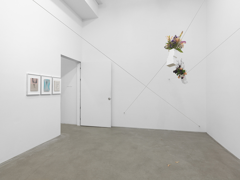 Brad Troemel, image 6 of 8