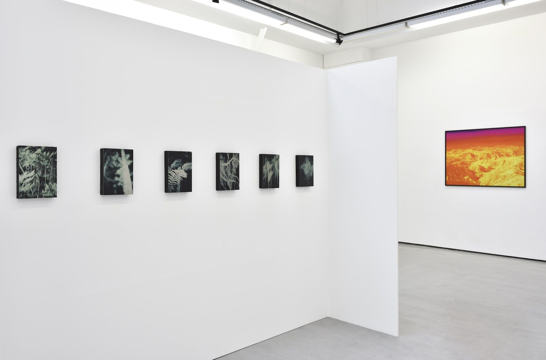 Smith, Dami at Christophe Gaillard, photo 8