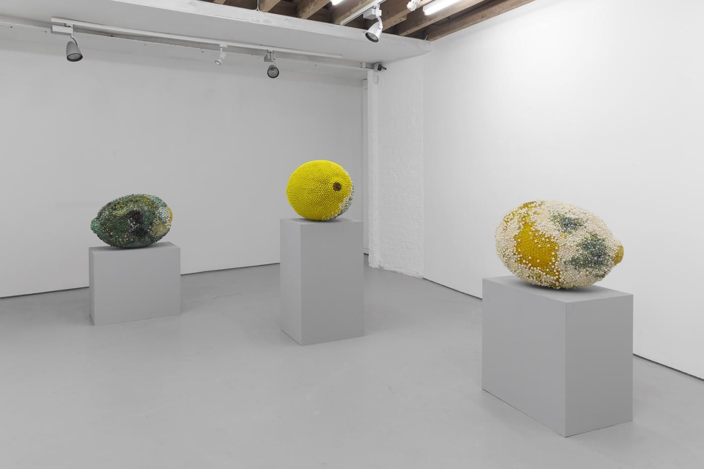 Kathleen Ryan, Seven Sculptures at Sunset at Josh Lilley, photo 2