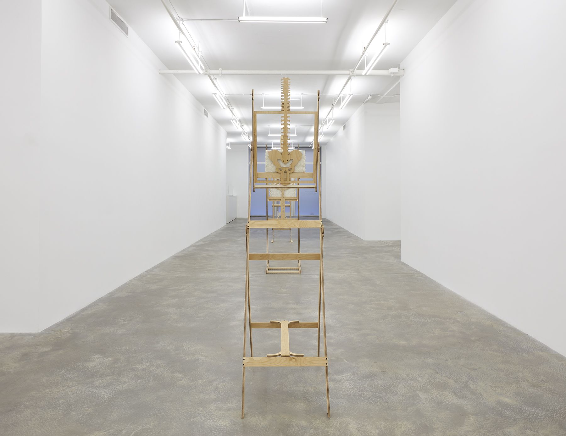 Cindy Ji Hye Kim, In Despite of Light at Casey Kaplan, photo 13