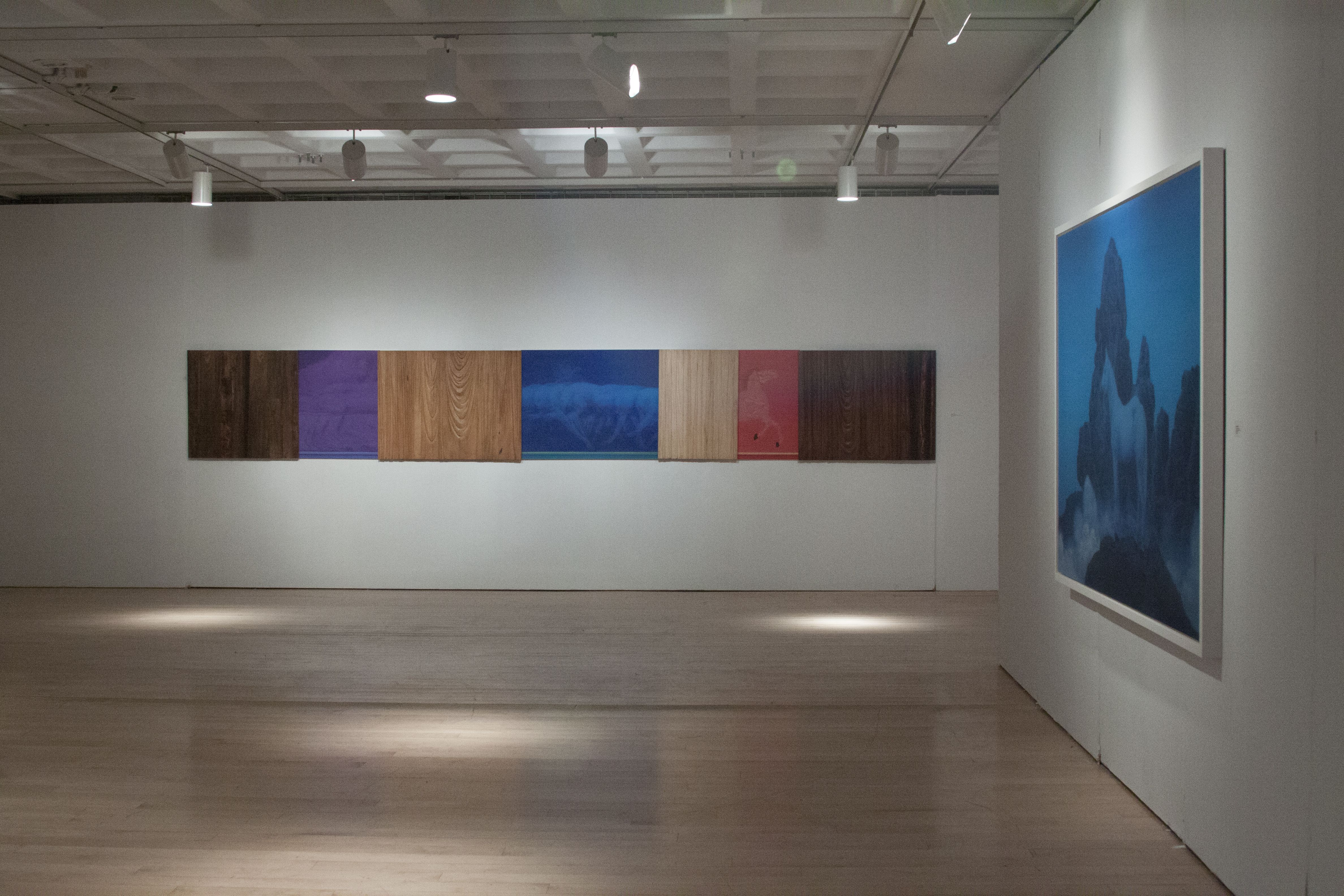 Xu Lei, New Works at Marlborough, photo 6
