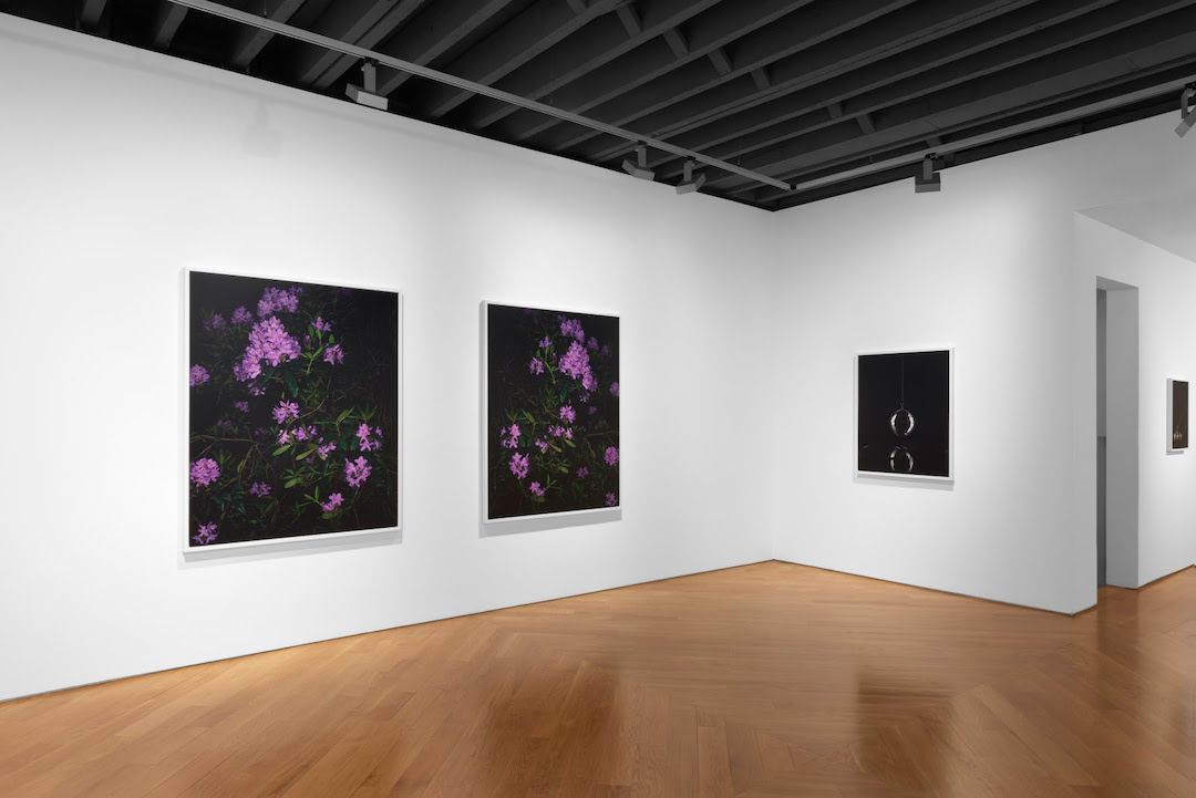 Sarah Jones, Gazing Ball at Anton Kern, photo 2