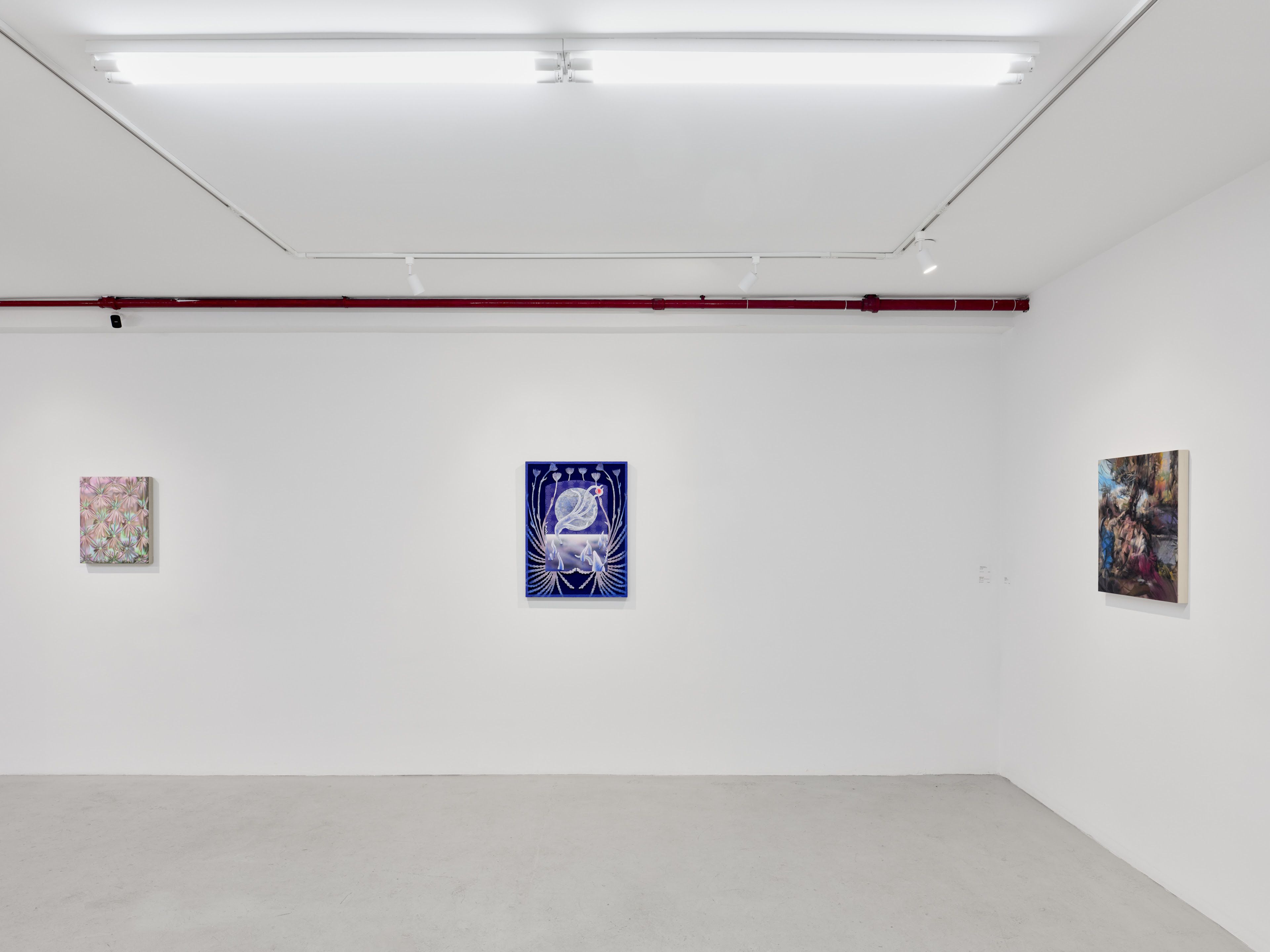 Exaltation, Exaltation at Plato, photo 2