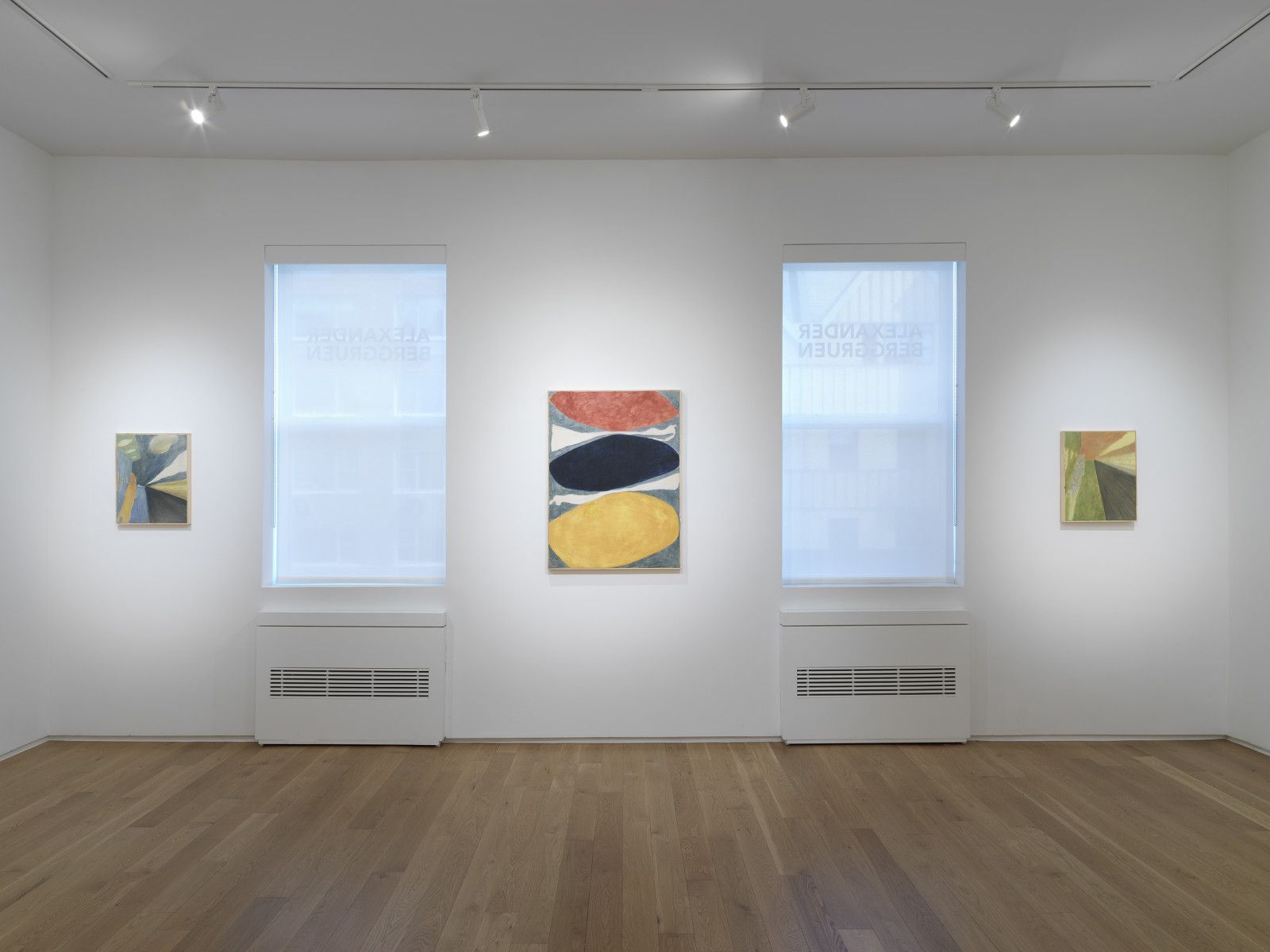 Ted Gahl, Paintings at Alexander Berggruen, photo 3