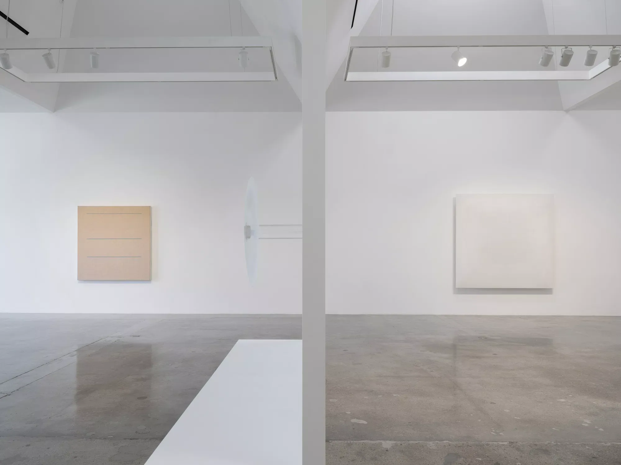 Robert Irwin, Robert Irwin at Pace Gallery, photo 3