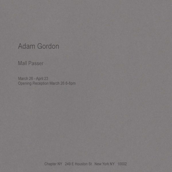 Adam Gordon, Mall Passer at Chapter NY, photo 2