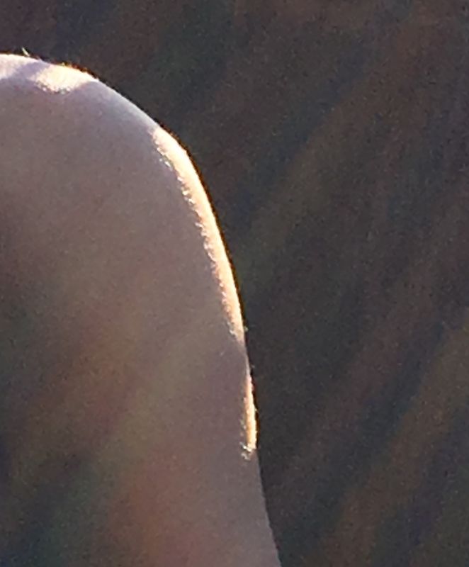 Shooting Blanks, Shooting Blanks at 67 Steps, photo 14