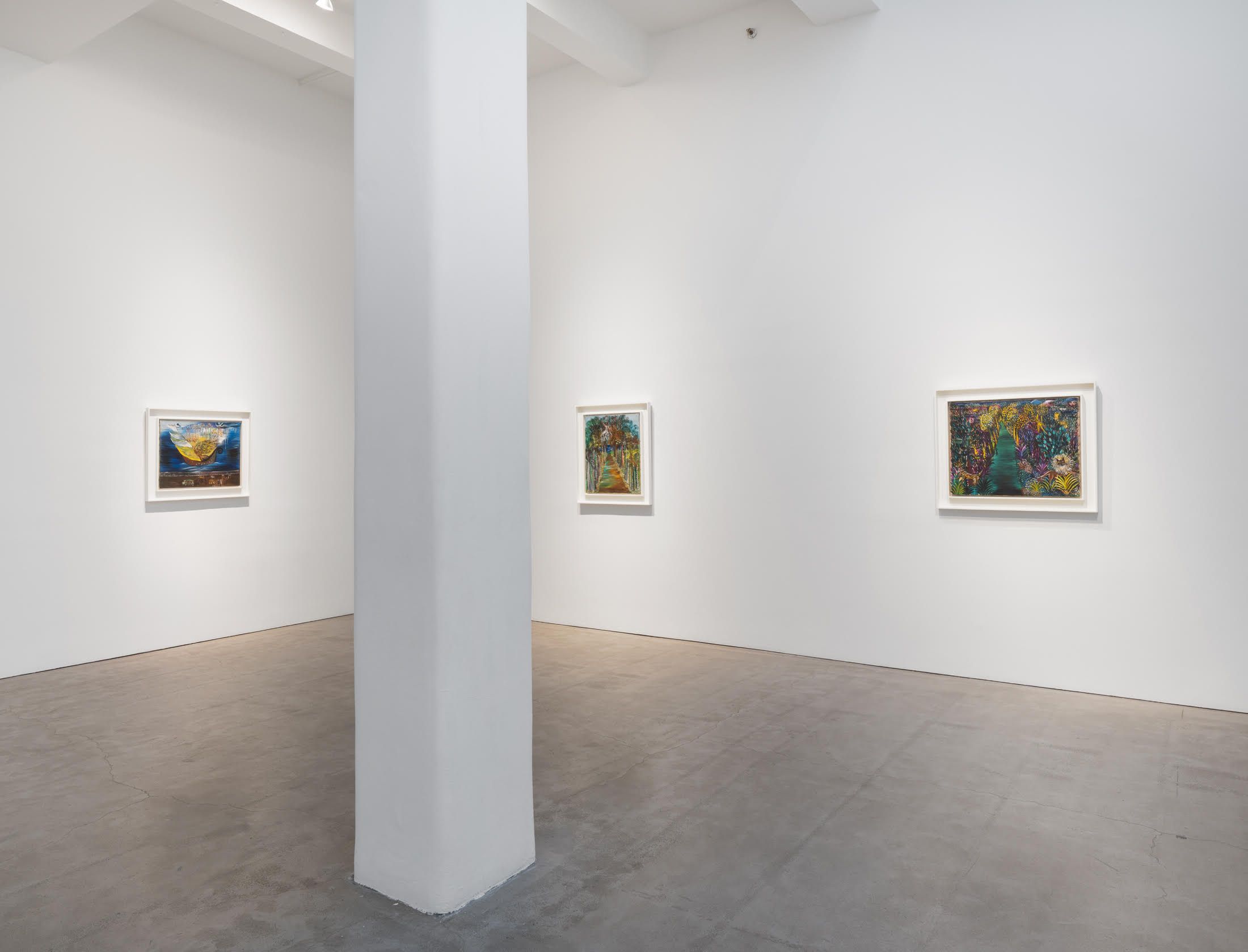 Lucia Wilcox, Lucia at Berry Campbell, photo 2