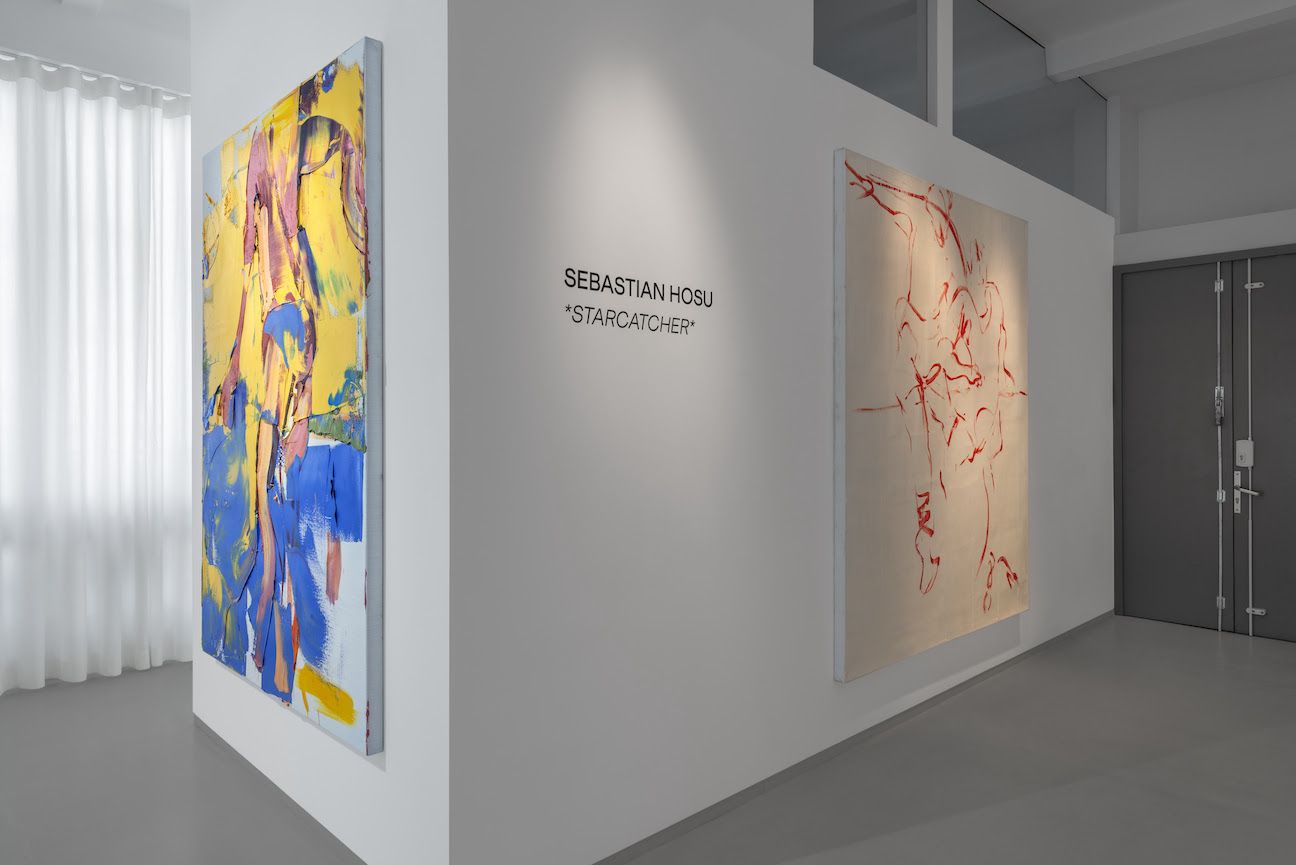 Sebastian Hosu, Starcatcher at Duve, photo 8