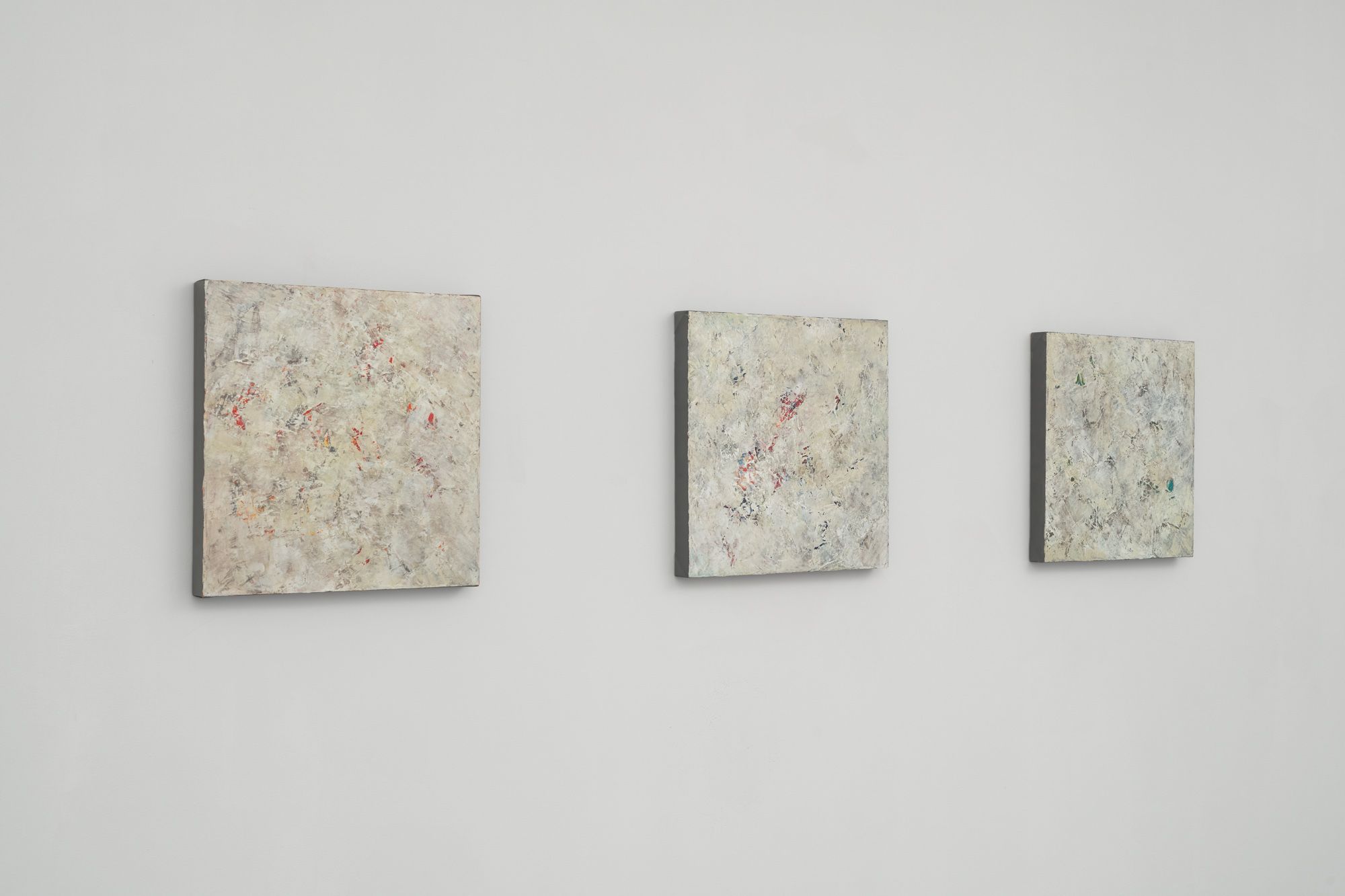Susan Swartz, Susan Swartz at Jason McCoy Gallery, photo 8