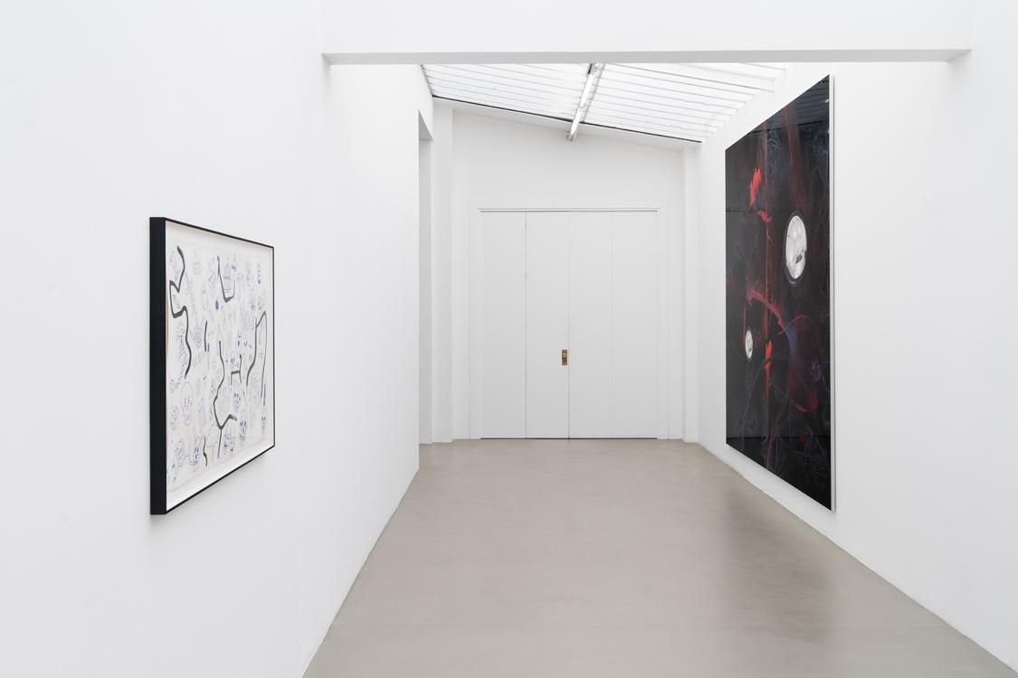 Seth Price, Free Fall at Chantal Crousel, photo 6
