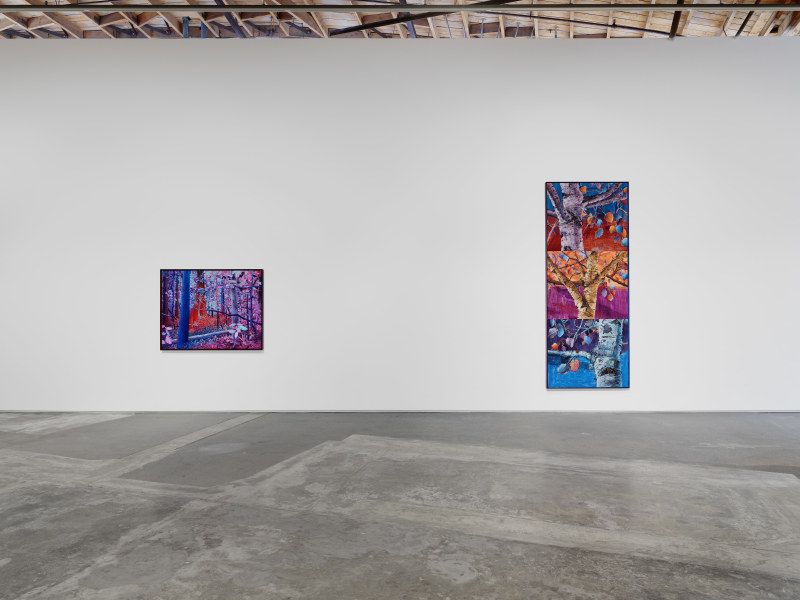 Ross Caliendo, Peace Fellow at Night Gallery, photo 6