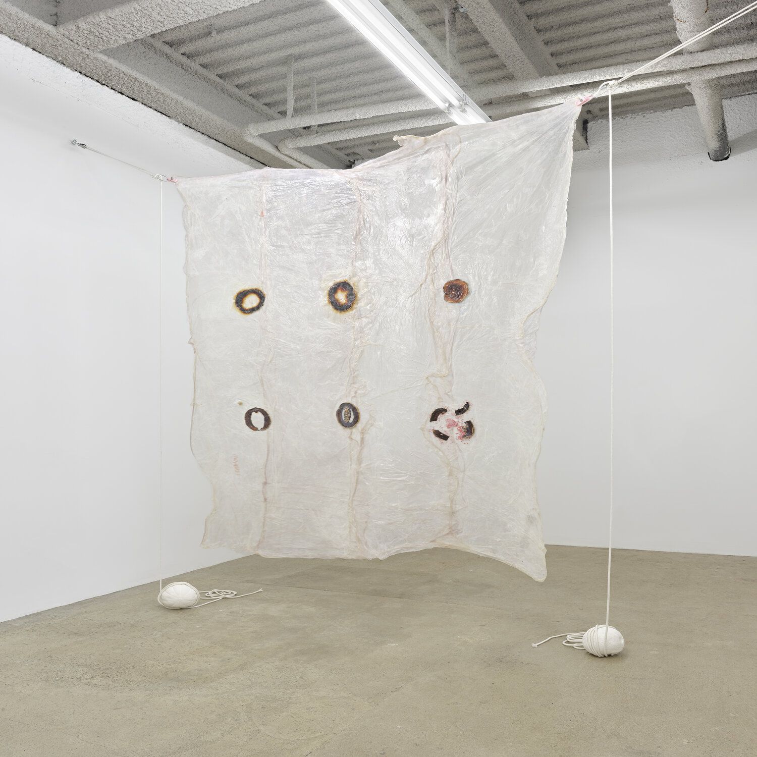 Karinne Smith, Melon Skin at M 2 3, photo 18
