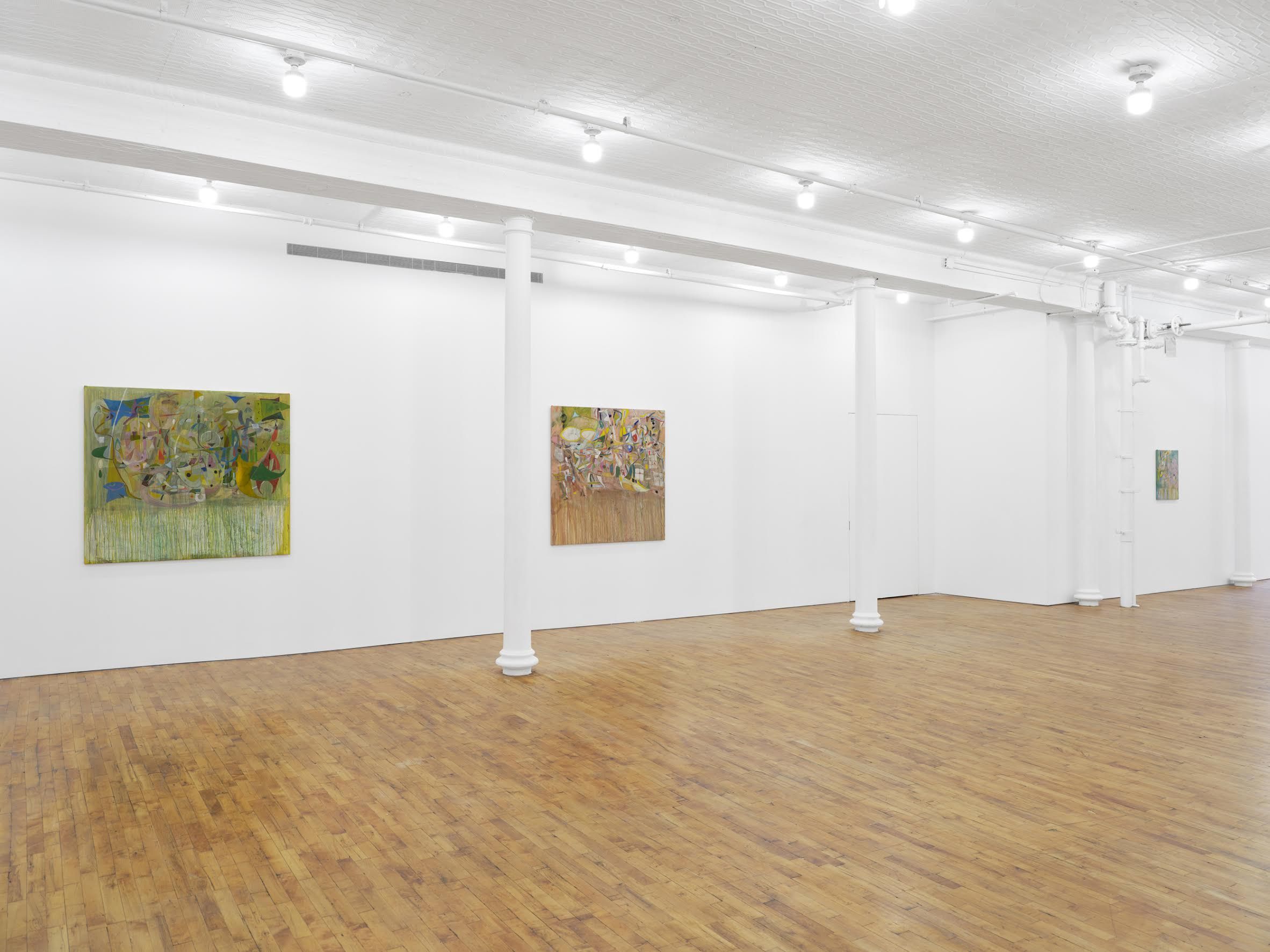 Lu Ferreira, Tropical Nada at Tara Downs, photo 2