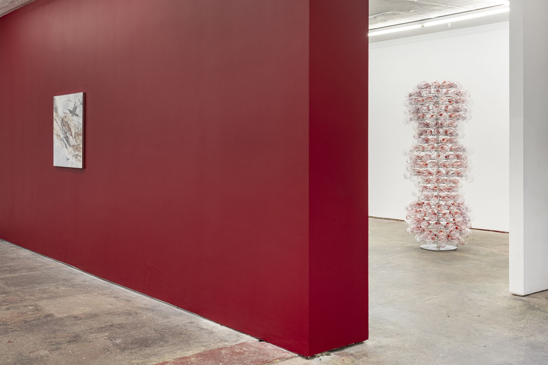 Gabriele Beveridge, Never Ends at Seventeen, photo 7