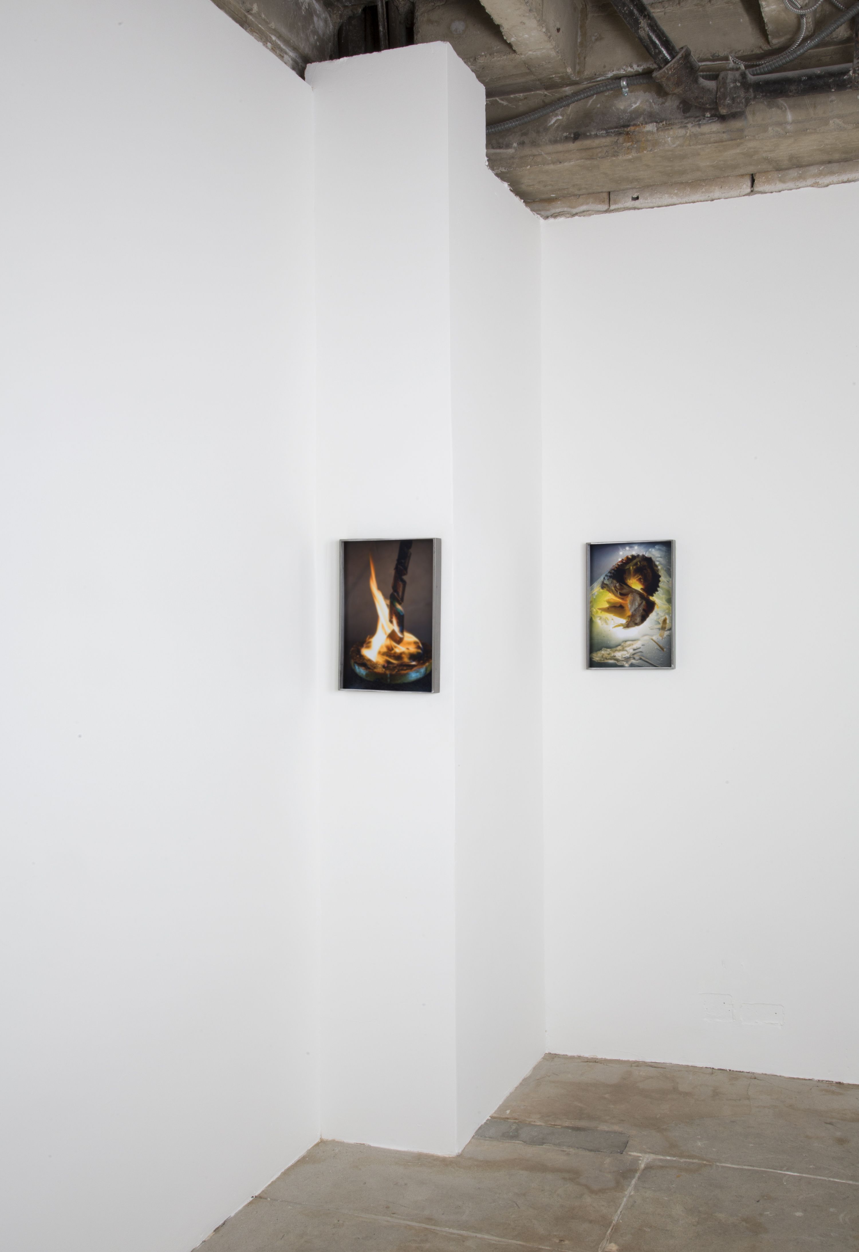 Diane Severin Nguyen, Flesh Before Body at Bad Reputation, photo 4
