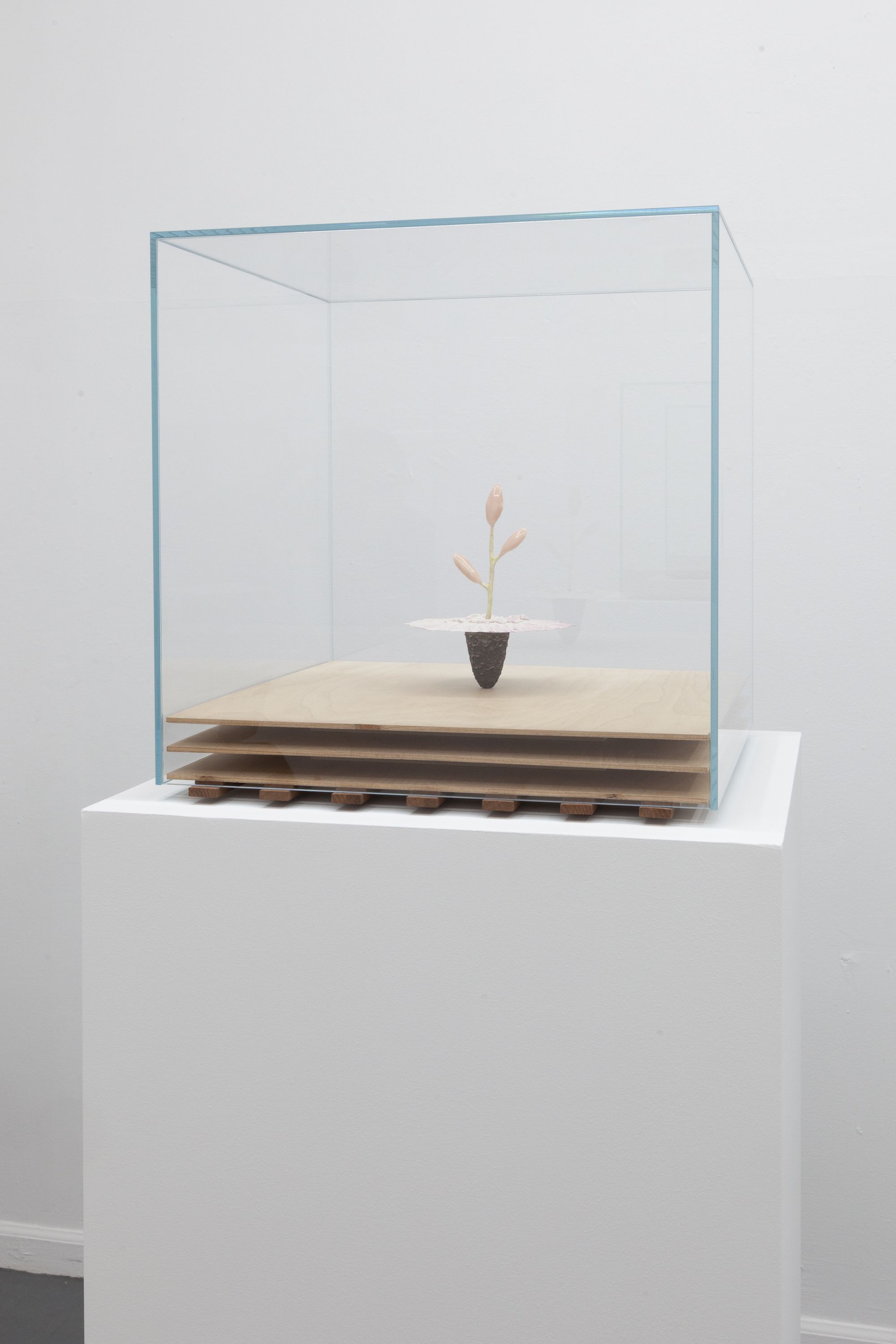 Anders Hamilton, image 16 of 32