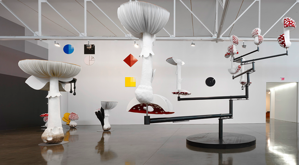 Carsten Höller, Reason at Gagosian, photo 2