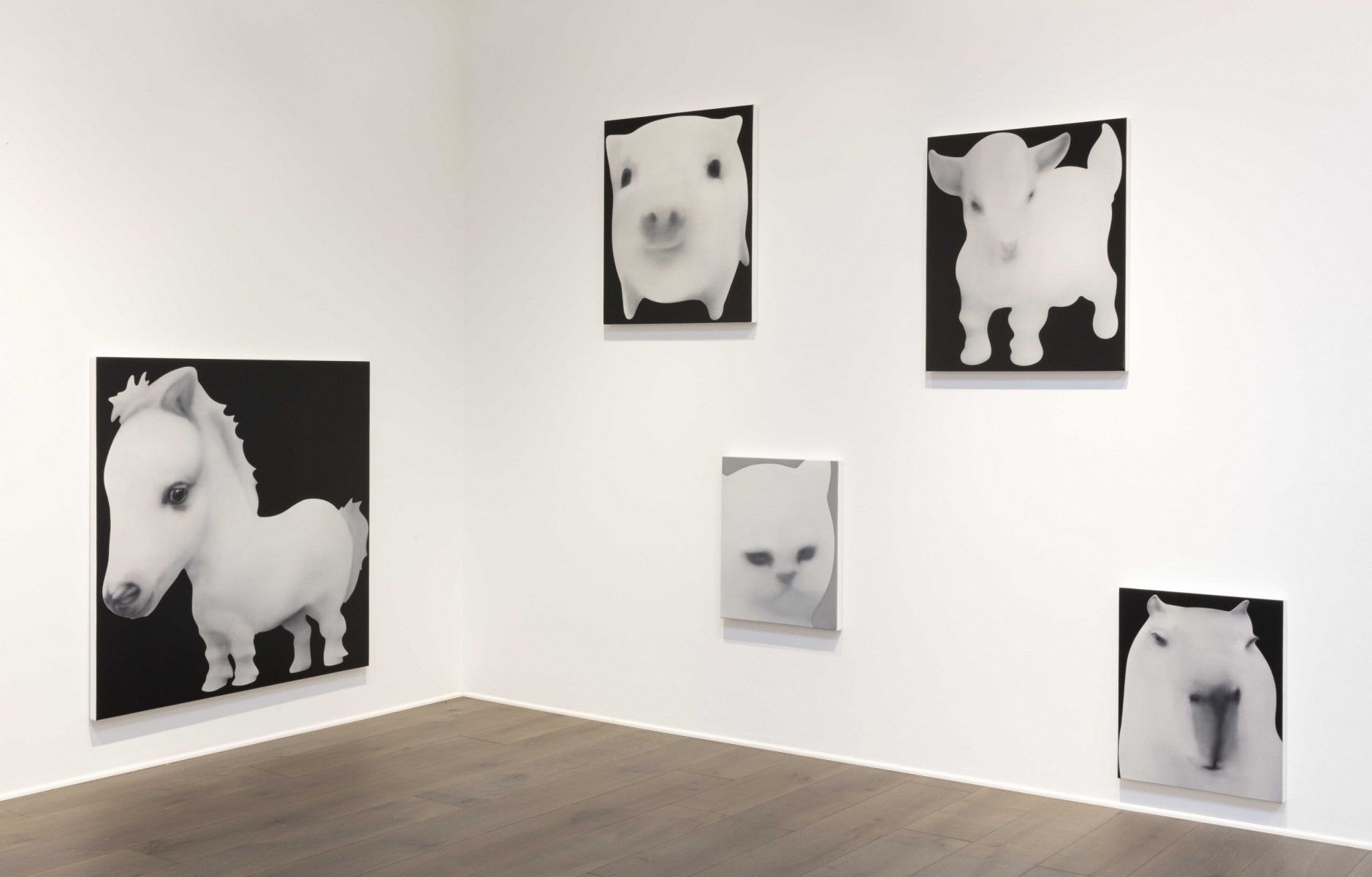 Jingze Du, True Colors at Steve Turner, photo 4