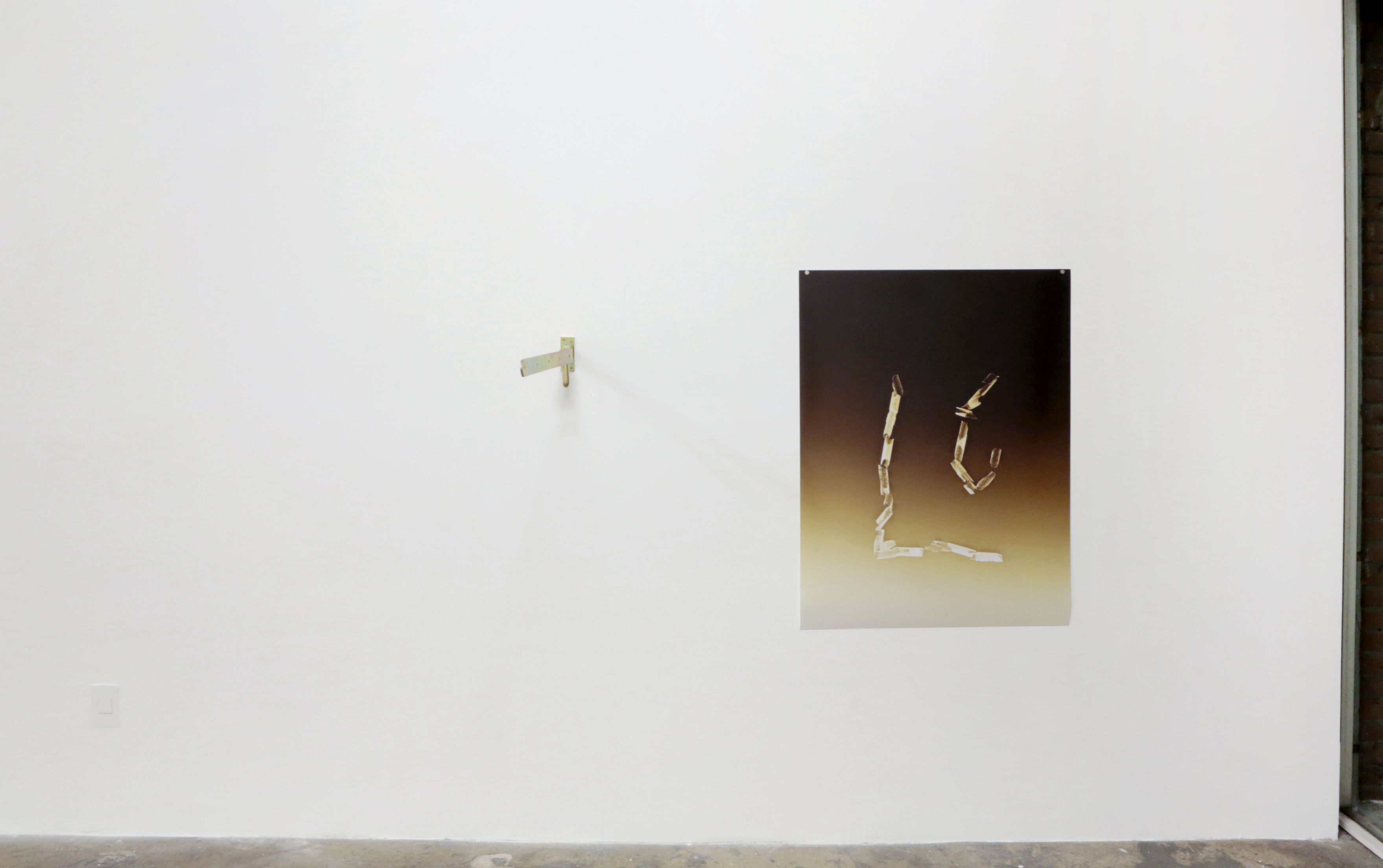 Tatiana Echeverri Fernandez, Bones and Bloodlines to Space at Museum as Retail Space, photo 9