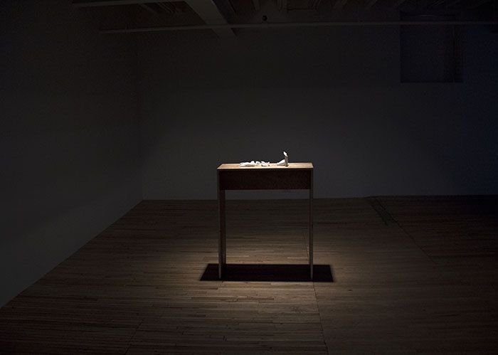 Ann Lislegaard, Ann Lislegaard at Murray Guy, photo 2
