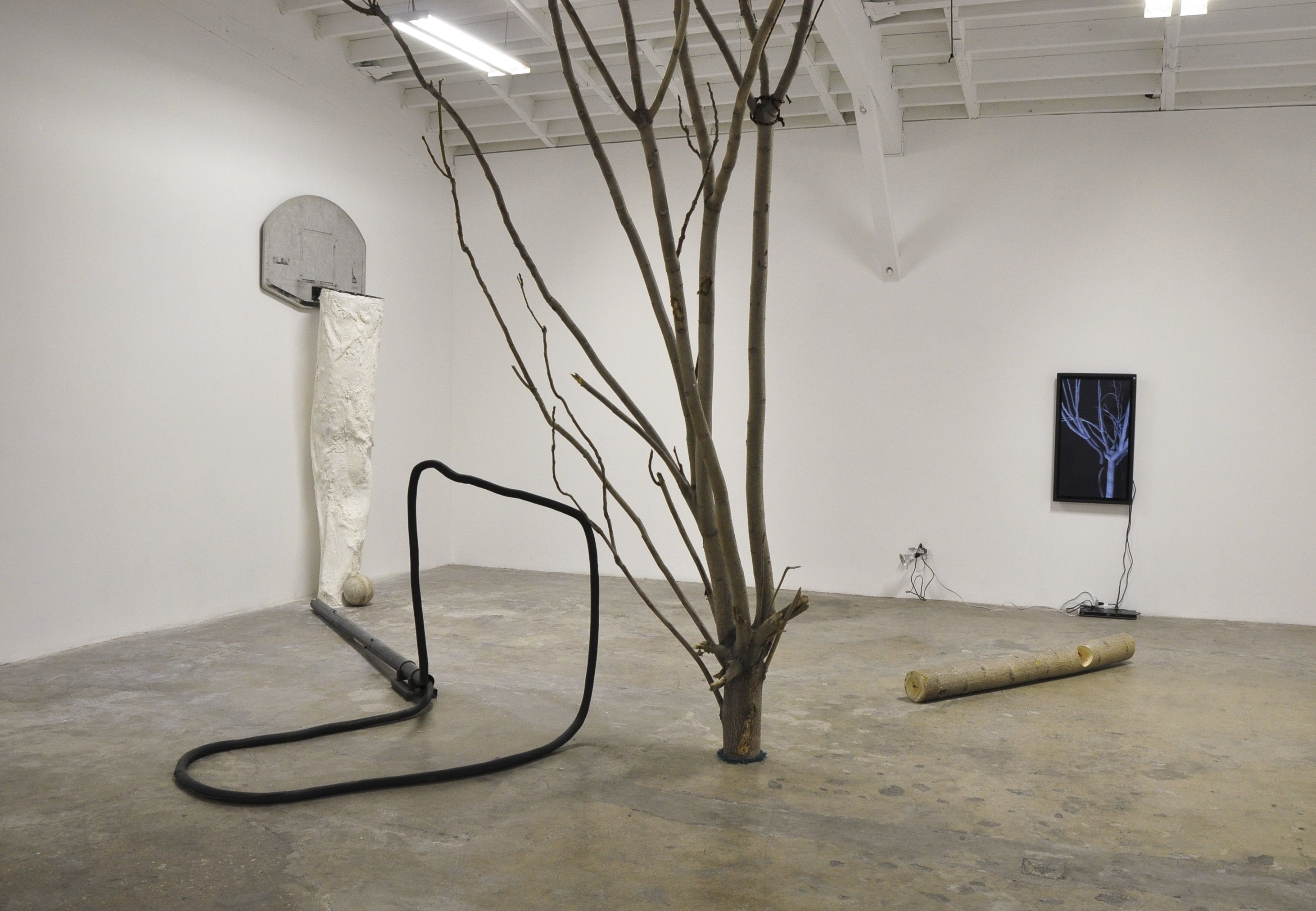 Linda Franke, Access to Nameless Hazards at Museum as Retail Space, photo 2